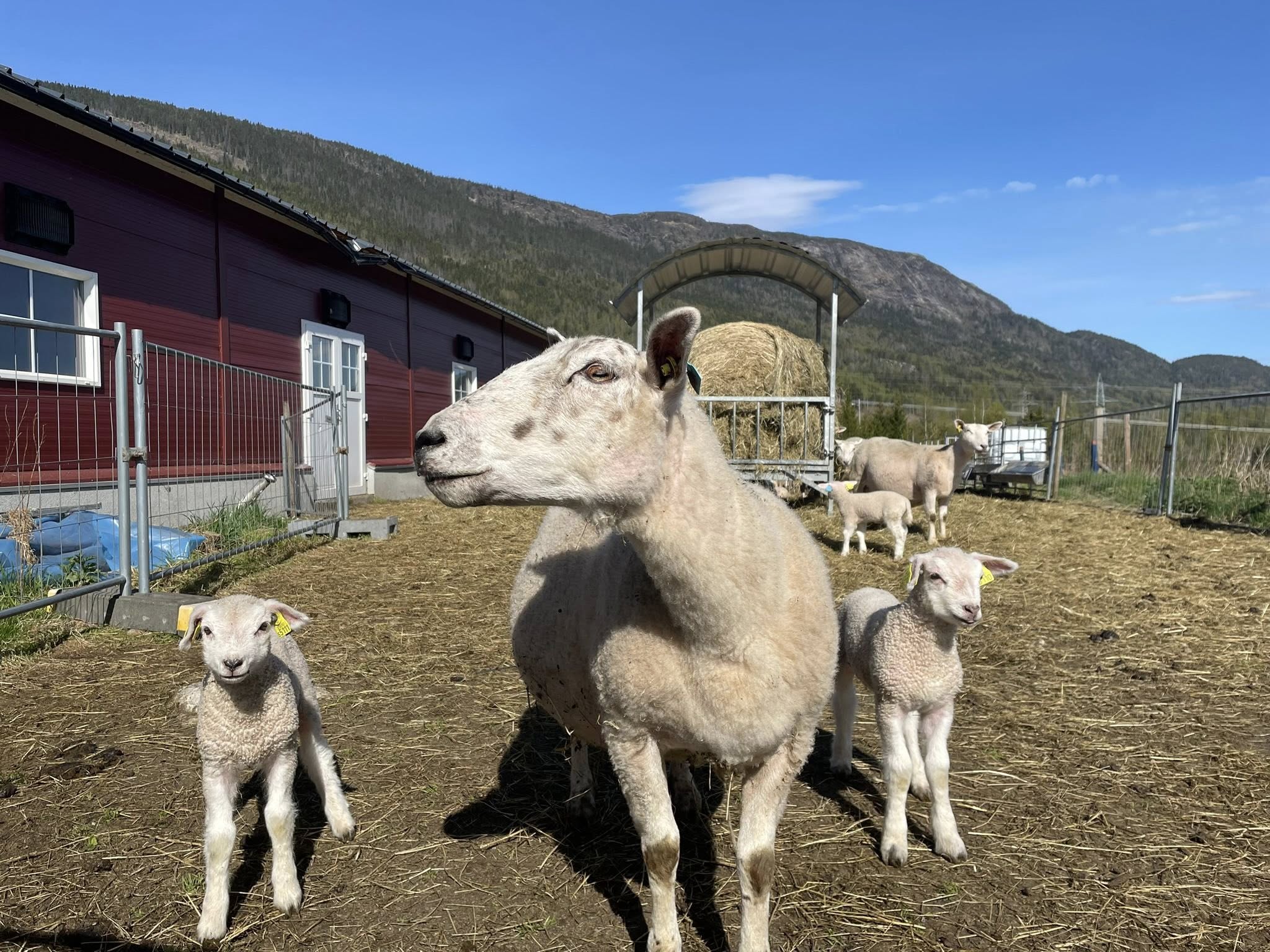 Bråten Gård - Ved foten av Norefjell 1